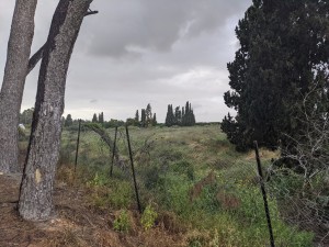 פנינת טבע מצפון-מזרח