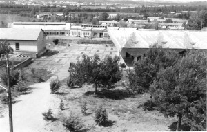 מבט על הקיבוץ מן המגדל - 1964
