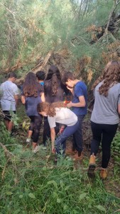 תמונה ממשימת תרומה לסביבה