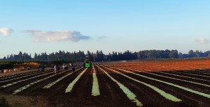 צילום: עדנה ארזי