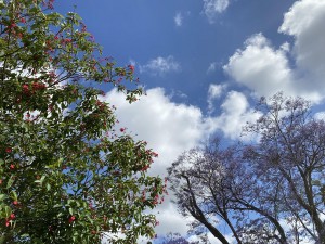 צילום: סמדר כרמל