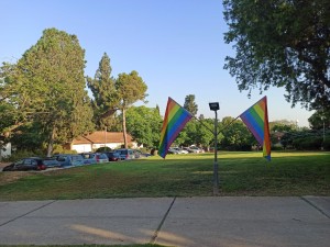 דגל הגאווה. צילום: אלדד ורדי