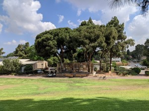 צילום: היידי עפרון