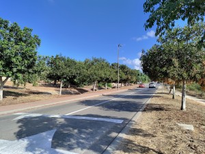 צילום: היידי עפרון