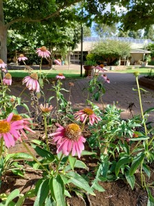 צילום: היידי עפרון