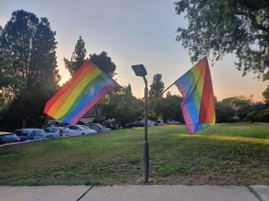 צילום: אביגייל קולייר