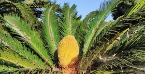 צילום: עדנה ארזי