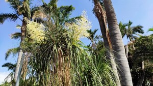 צילום: עדנה ארזי