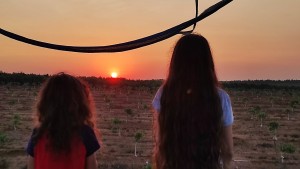 צילום: עדנה ארזי