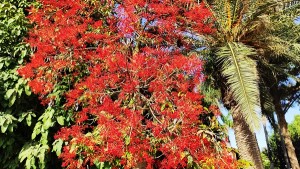 צילום: עדנה ארזי