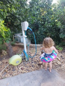 עמדות טעינה