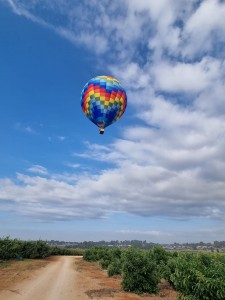 צילום: ראובן פיינברג
