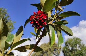 צילום: עדנה ארזי