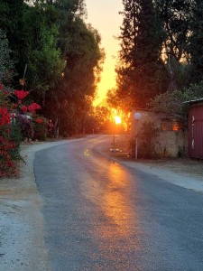 צילום: ימימה גשן