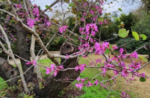צילום: עדנה ארזי