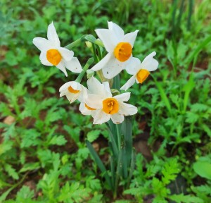 צילום: עדנה ארזי