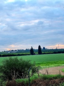 צילום: ימימה גשן