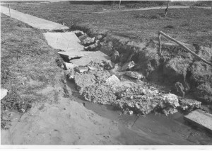 ינואר 1952 - אחרי הגשם - סחף של המדרכות