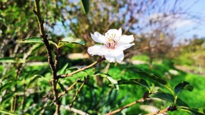 צילום: עדנה ארזי