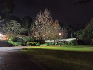 צילום: אלדד ורדי