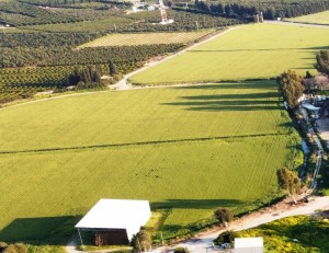 צילום: ציון נואמה