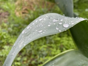 צילום: סמדר כרמל