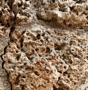 צילום: סמדר כרמל