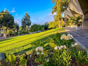 צילום: אפרת אשל