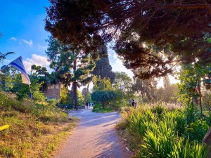 צילום: אפרת אשל