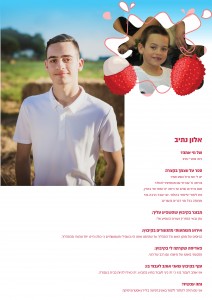 ליצי עלון 13