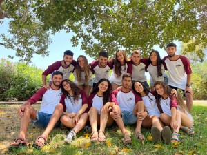 תמונה גל קומונה