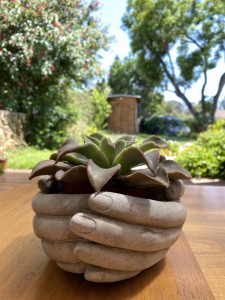 צילום: סמדר כרמל