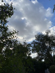 צילום: סמדר כרמל