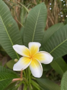 צילום: סמדר כרמל