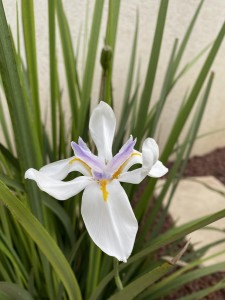 צילום: סמדר כרמל