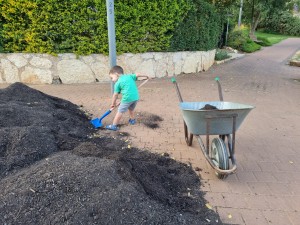 צילום: לילך יגודה