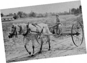 תמונה7